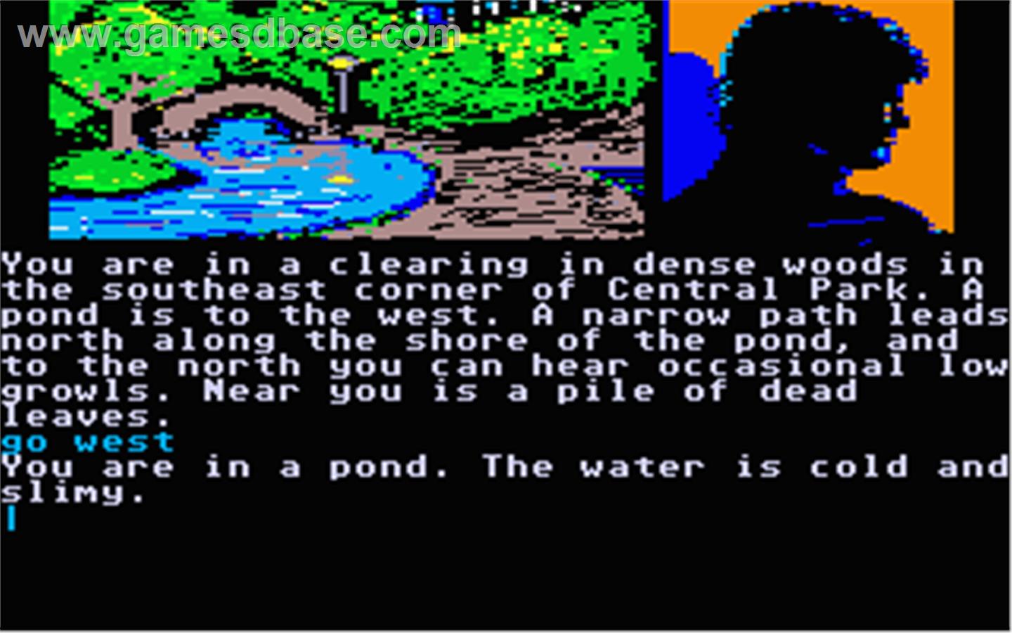Text adventure with graphics